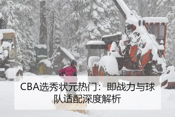 CBA选秀状元热门：即战力与球队适配深度解析
