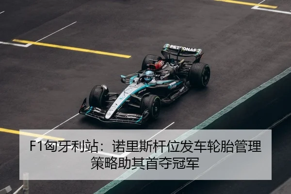 xiong-ya-li-zhan-nuo-li-si-gan-wei-fa-che-lun-tai-guan-li-ce-lve-zhu-qi-shou-duo-guan-jun-3-479.jpg