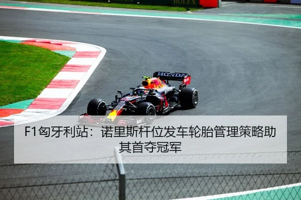 F1匈牙利站：诺里斯杆位发车轮胎管理策略助其首夺冠军