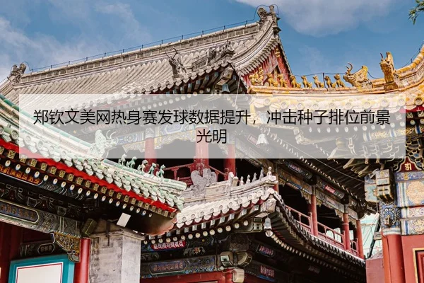 zheng-qin-wen-mei-wang-re-shen-sai-fa-qiu-shu-ju-ti-sheng-chong-ji-zhong-zi-pai-wei-qian-jing-guang-ming-3-973.jpg