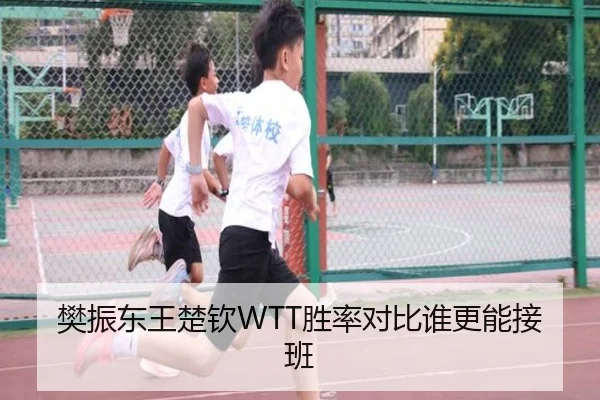 樊振东王楚钦WTT胜率对比谁更能接班
