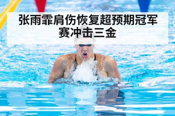 张雨霏肩伤恢复超预期冠军赛冲击三金